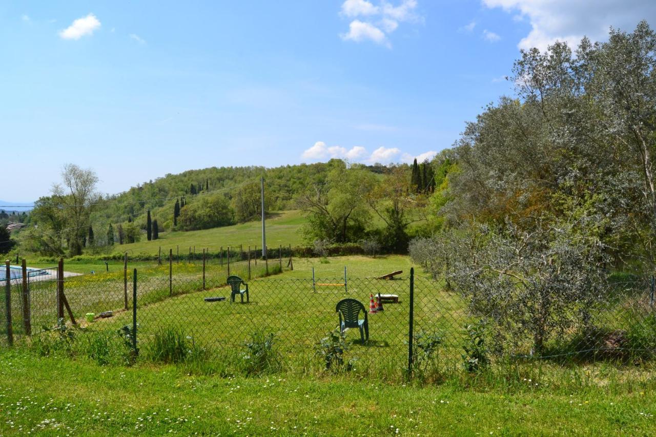 B And B Piccolo Ulivo Ranch Capolona Exterior photo