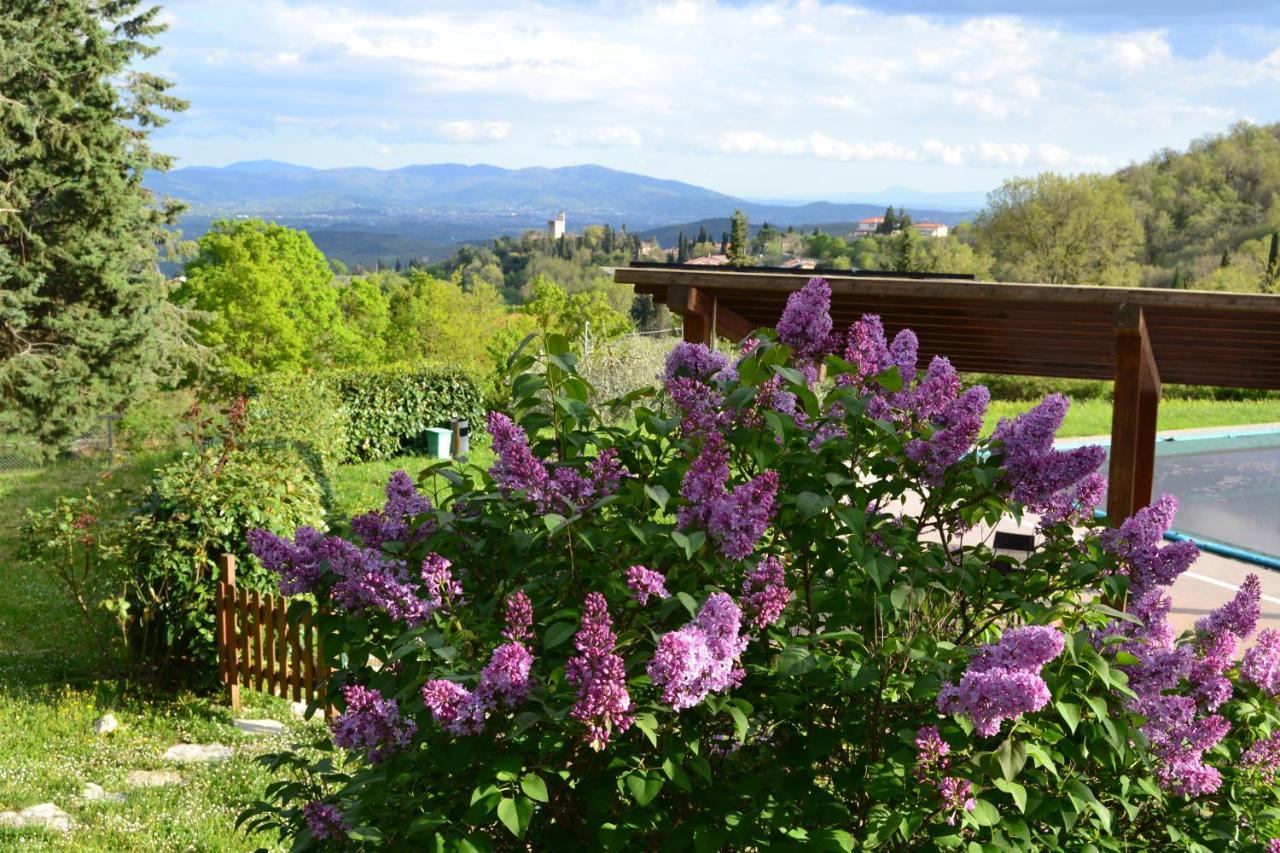 B And B Piccolo Ulivo Ranch Capolona Exterior photo